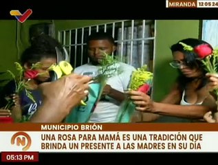 Miranda | Más de 3 mil 200 madres fueron agasajadas en el mcpio. Brión con "Una Rosa para Mamá"