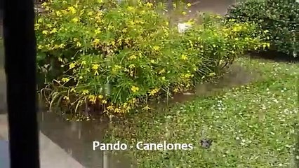 Granizo en varias localidades del país - Uruguay (26/04/2024)