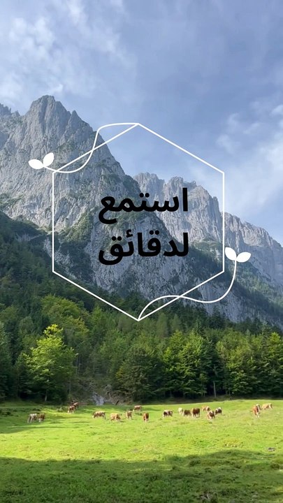Thé holy Quran استمع للقرآن الكريم