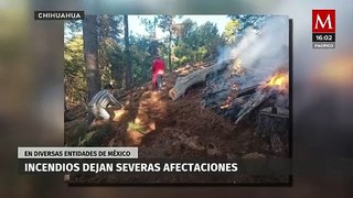 Los incendios forestales afectan severamente al territorio nacional