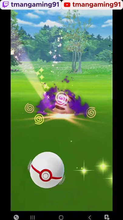 Pokémon GO-Shadow Swinub