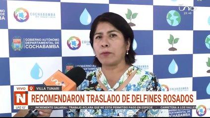 recomendaron traslado de delfines rosados