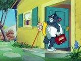 Tom And Jerry - 062 - Cat Napping (1951)
