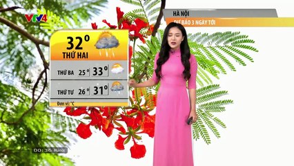 Phim truyện Thương lắm đò ơi - Tập 25