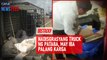 Bistado! – Nadisgrasyang truck ng pataba, may iba palang karga | GMA Integrated Newsfeed