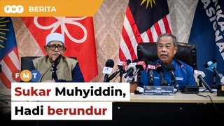 Sukar Muhyiddin, Hadi berundur selepas PN kalah, kata penganalisis