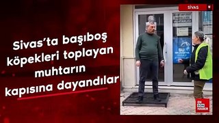 Sivas'ta başıboş köpekleri toplayan muhtarın kapısına dayandılar