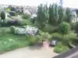 a dreux  élagage a   métre de hauteur