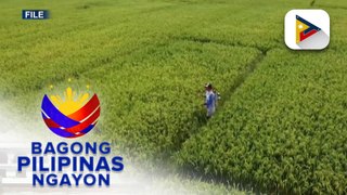 Panayam kay DA Usec. Asis Perez kaugnay 4-year agricultural plan ng pamahalaan