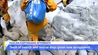 Search and Rescue Dog Team in Hualien Given New Assignment