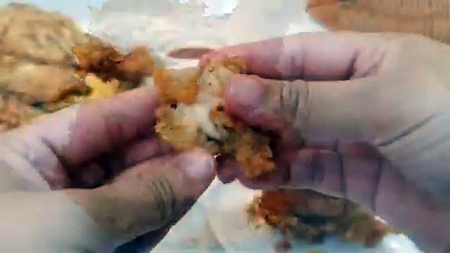 KFC Style Fried Chicken Recipe