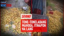 Tone-toneladang mangga, itinapon na lang | GMA Integrated Newsfeed
