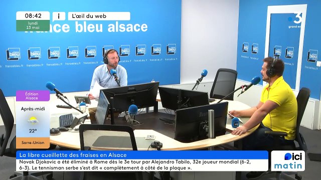 Libre cueillette de fraises