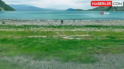 Van Gölü kıyılarındaki mikrobiyolitler vatandaşları şaşırttı
