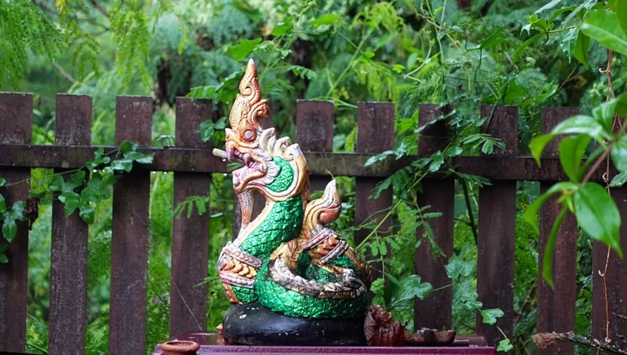 230 KM #roller #tour  #thailand  #thailand2022  #ausflugstipp  #wasserfall  #nationalpark