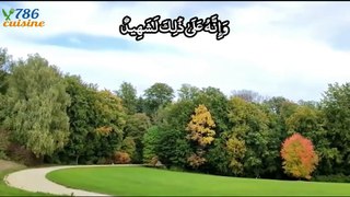 surah Al -Adiyat | Beautiful Recitation Of Surah Al  Adiyat | سورة العاديات