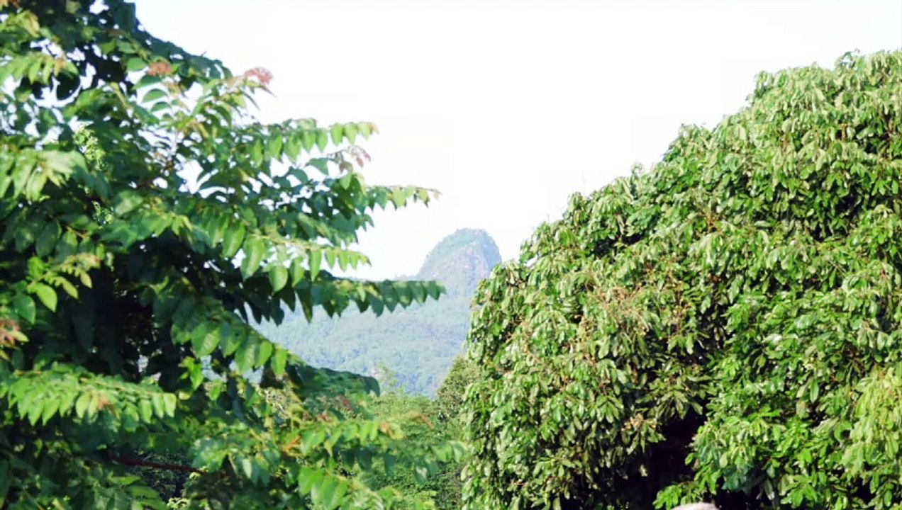 1000 Glöckchen, ein unerreichbarer See und eine finstere Höhle