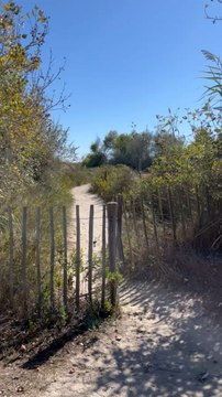 Journée plage au Petit Travers à Carnon