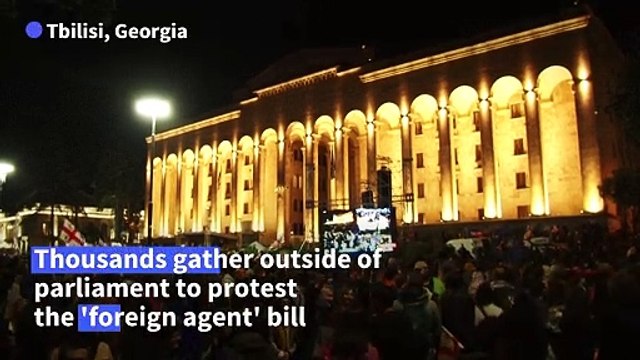 Thousands of Georgians join night-time protest despite warnings