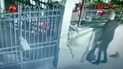 İş yerinde 9 ölü kedi bulunmuştu: O sanığa 4 yıl 6 ay hapis cezası