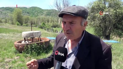 100 yıl önce aktif olarak kullanılıyorlardı, günümüzde bahçe süsü olarak sergileniyor