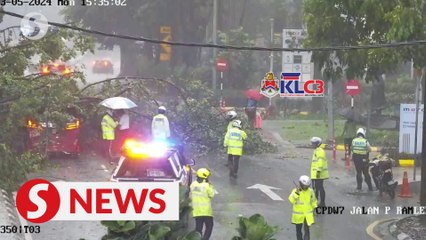 Another tree topples in KL, Jalan Pinang temporarily closed