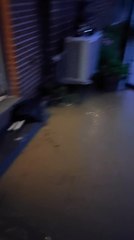 Gembloux : inondations à Ernage le dimanche 12 mai 2024.