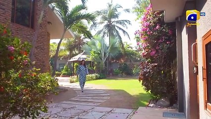 Mehroom Episode 31 - [Eng Sub] - Hina Altaf - Junaid Khan - 12th May 2024 - Har Pal Geo(360P)