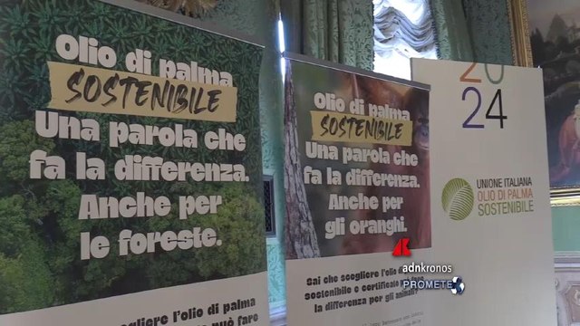 Sostenibilità, l’olio di palma sostenibile tra i temi al centro di Eiis summit 2024