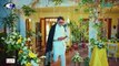 Let_s Try Mohabbat EP 03 l Mawra Hussain l Danyal Zafar l Digitally Presented By Master Paints(360P)