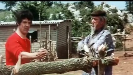 Ku Fu? Dalla Sicilia con furore - e adesso spezza questo ramoscello - Franco Franchi