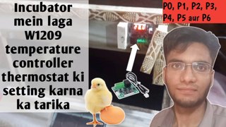 Incubator mein laga W1209 thermostat ya temperature controller ki setting ka tarika Poultry business