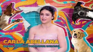 Carla Abellana shares her advocacy to save animals (Online Exclusive)