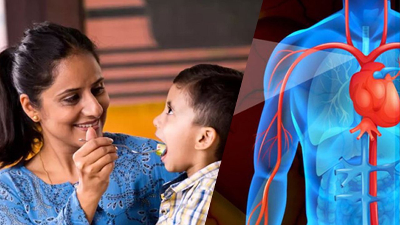 बच्चों में कोलेस्ट्रॉल बढ़ने का कारण | High Cholesterol In Children Reason | Boldsky