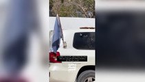 Il video del veicolo delle Nazioni Unite colpito durante un attacco a Rafah: finestrini crivellati di colpi d'arma da fuoco