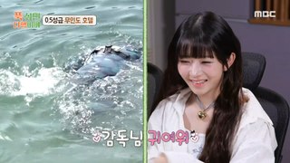 [HOT] Park Hang-seo takes a lower-body bath, not a material, 푹 쉬면 다행이야 240513