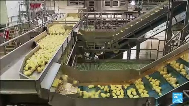 McCain compte investir 350 millions d'euros pour produire plus de frites en France