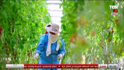 الأمن الغذائي أولوية.. ؟ الرئيس السيسي يشاهد فيلما تسجيليا عن مشروع مستقبل مصر الزراعي