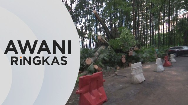AWANI Ringkas: Tiga kereta, lima motosikal dihempap pokok