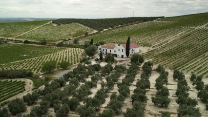 Explora la Encantadora Campiña Desconocida al Sur de Córdoba 🌿