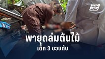 สลด! พายุถล่มหนักต้นไม้โค่นทับเด็กดับ | PPTV Online