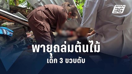 สลด! พายุถล่มหนักต้นไม้โค่นทับเด็กดับ | PPTV Online