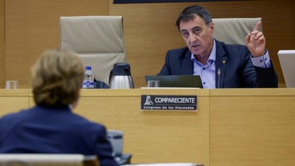 El ex director de Salud balear admite que contactó con Koldo para comprar las mascarillas 'fake'