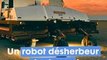 Ce #robot agricole désherbe les champs avec des #lasers ! ⚡️