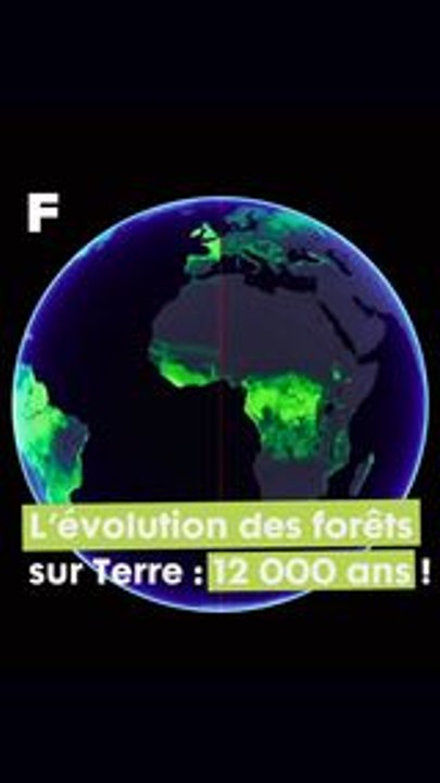 12 000 ans d'évolution des forêts sur Terre ! #science #environnement