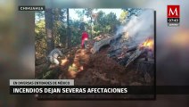 Incendios forestales dejan graves afectaciones en diversas entidades de México