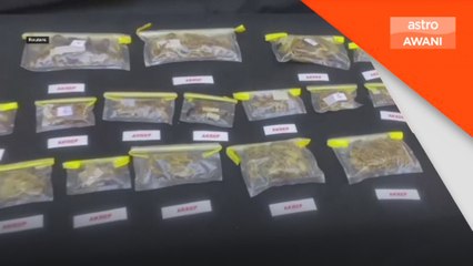 Cubaan seludup kala jengking, labah-labah dari Turkiye gagal