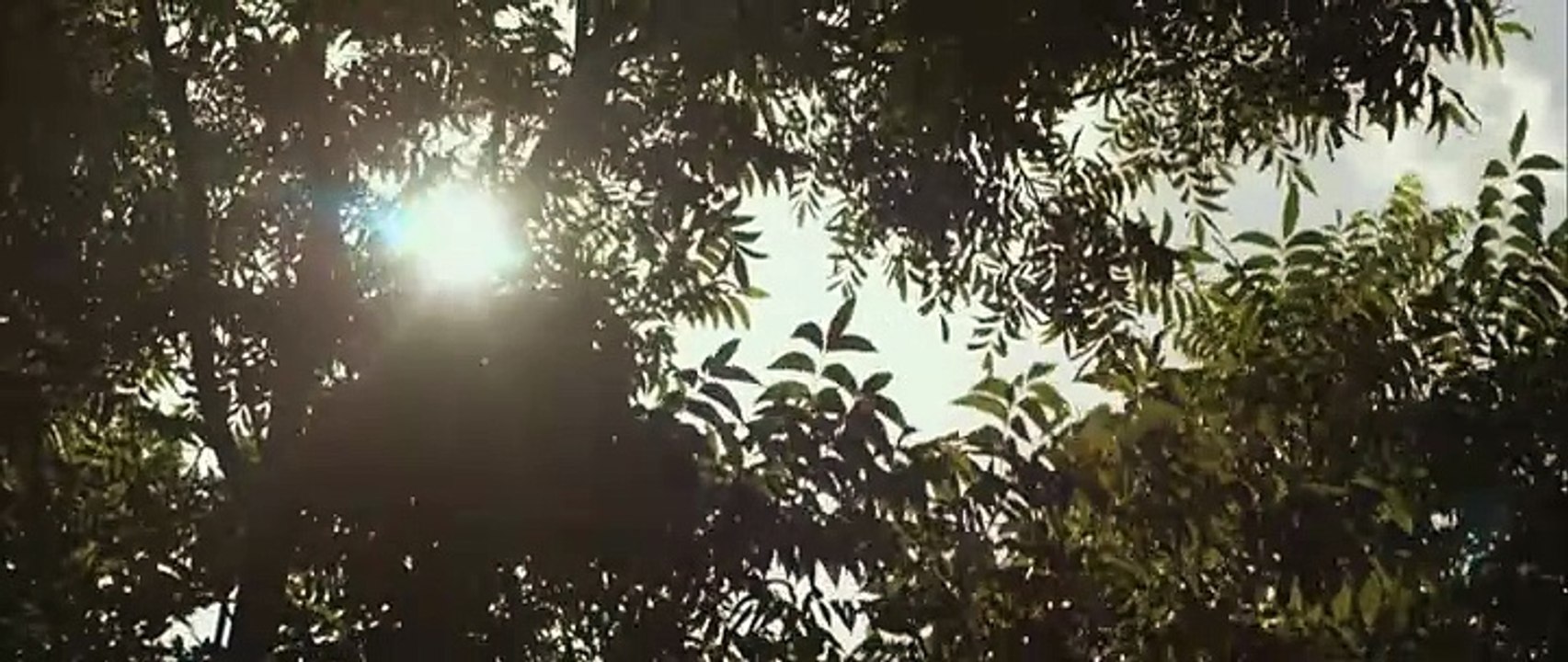 Transpecos - Zwischen Gut und Böse herrscht ein schmaler Grat (2016) stream deutsch anschauen