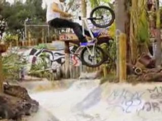 Ian Schwartz: A Brief Overview