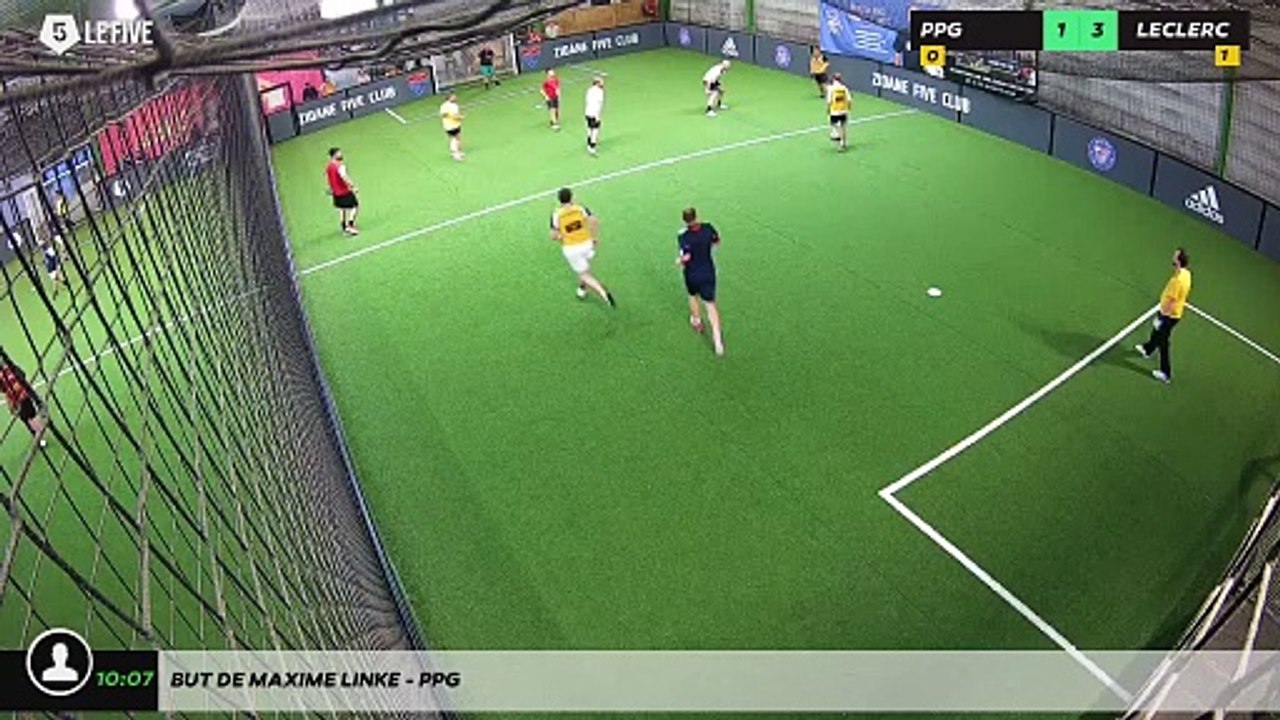 But de MAXIME LINKE - PPG